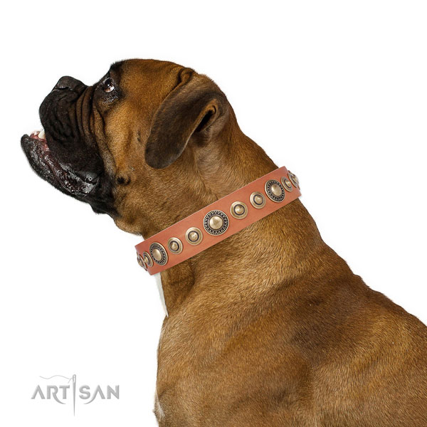 Rust-proof buckle and D-ring on natural leather dog collar for walking in style