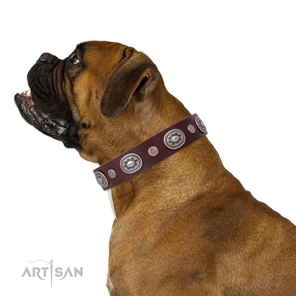Corrosion proof buckle and D-ring on leather dog collar for daily walking