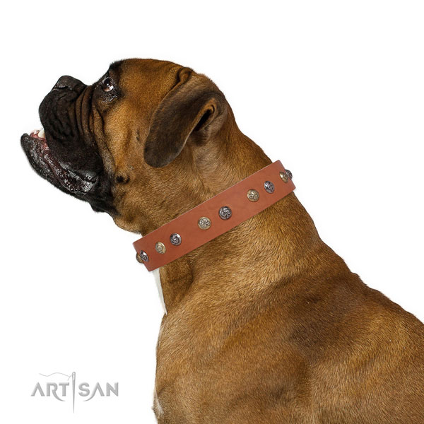 Genuine leather dog collar with corrosion resistant buckle and D-ring for stylish walking