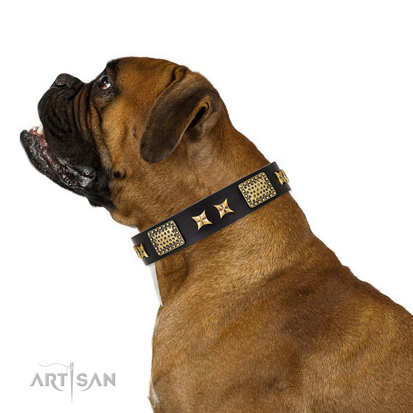 Easy wearing dog collar with inimitable decorations