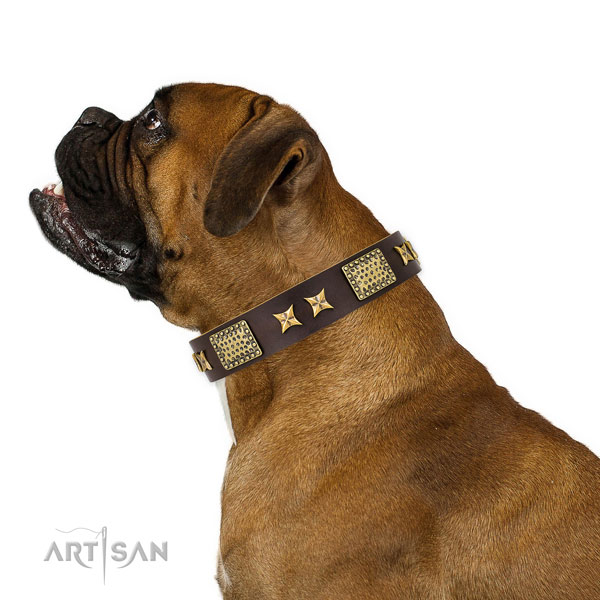Handy use dog collar with top notch studs