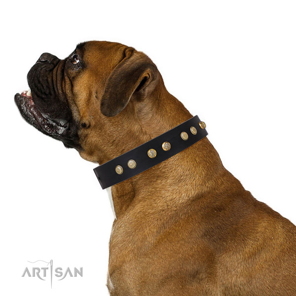 Unique adornments on daily use full grain natural leather dog collar