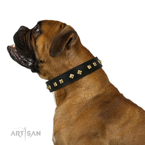 Incredible studs on daily use genuine leather dog collar