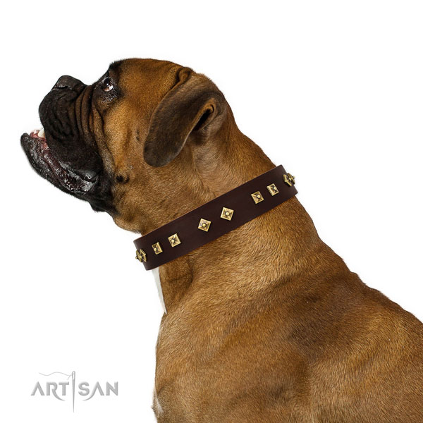 Incredible embellishments on easy wearing leather dog collar