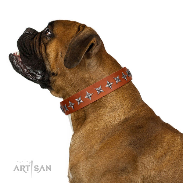 Reliable genuine leather dog collar with exceptional adornments