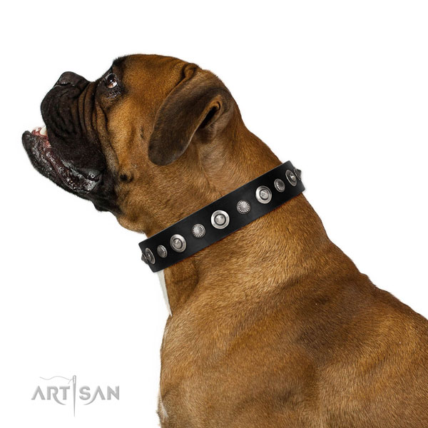 Top quality full grain natural leather dog collar with stunning decorations