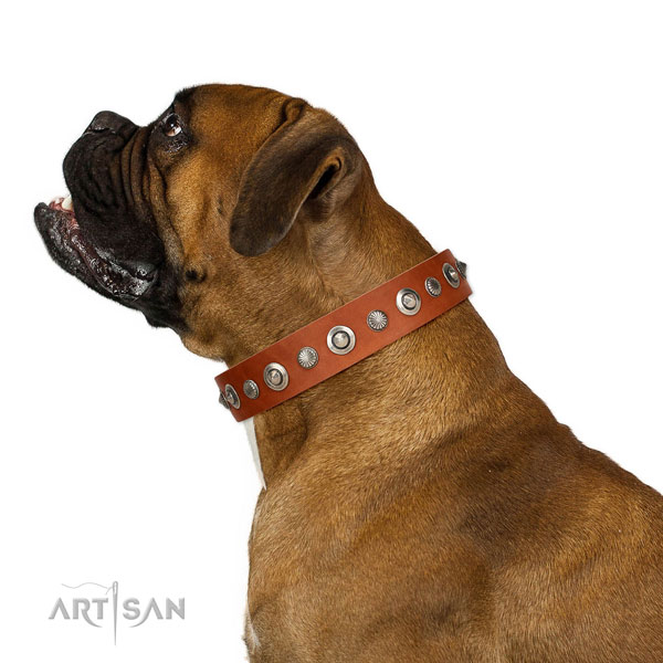 Strong full grain leather dog collar with extraordinary decorations
