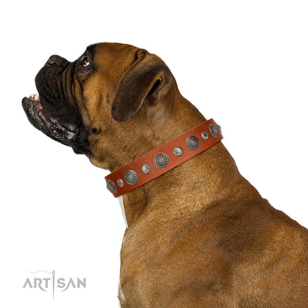 Embellished natural leather dog collar with corrosion proof fittings