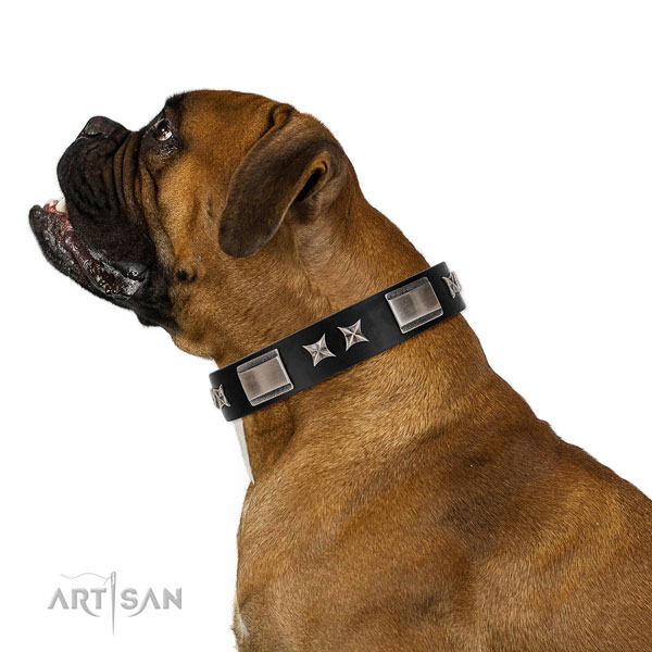 Everyday walking top notch natural leather dog collar with embellishments