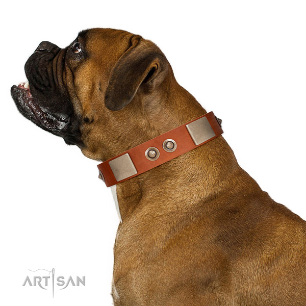 Corrosion proof D-ring on genuine leather dog collar for daily walking