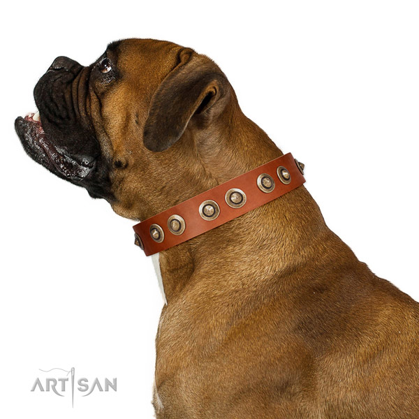 Easy wearing dog collar of genuine leather with stylish studs