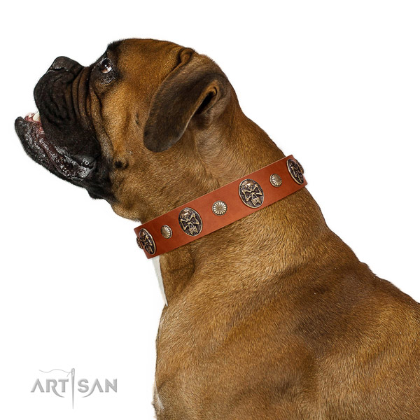 Genuine leather dog collar with unique studs