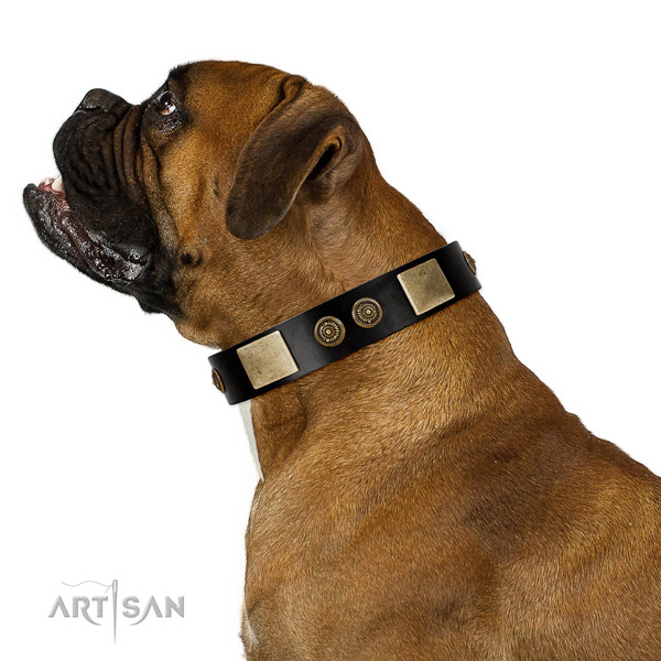 Handy use dog collar of genuine leather with top notch adornments