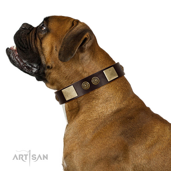 Basic training dog collar of natural leather with inimitable studs