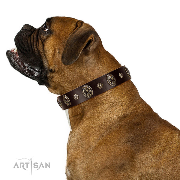 Daily walking dog collar of natural leather with stylish design studs