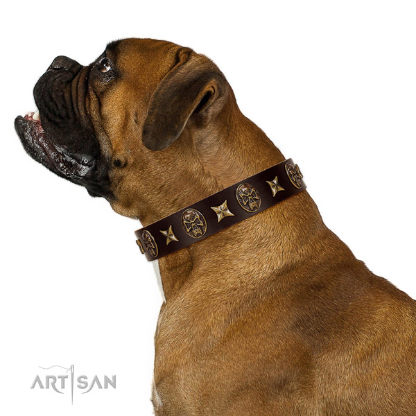 Everyday use dog collar of leather with amazing decorations