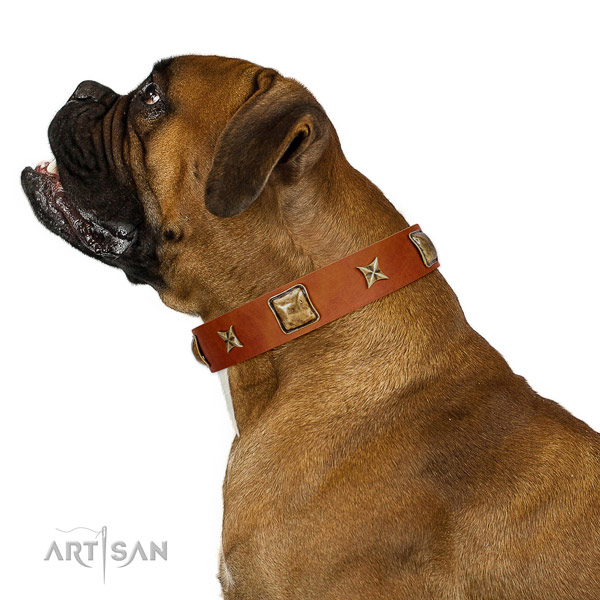 Impressive full grain genuine leather dog collar with embellishments