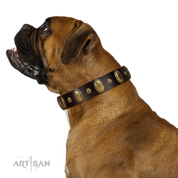 Leather dog collar of top rate material with impressive decorations