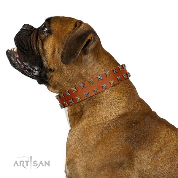 Soft natural leather dog collar with studs for your doggie