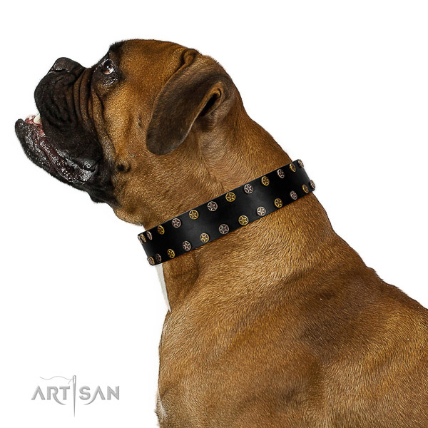 Trendy natural leather dog collar with durable embellishments