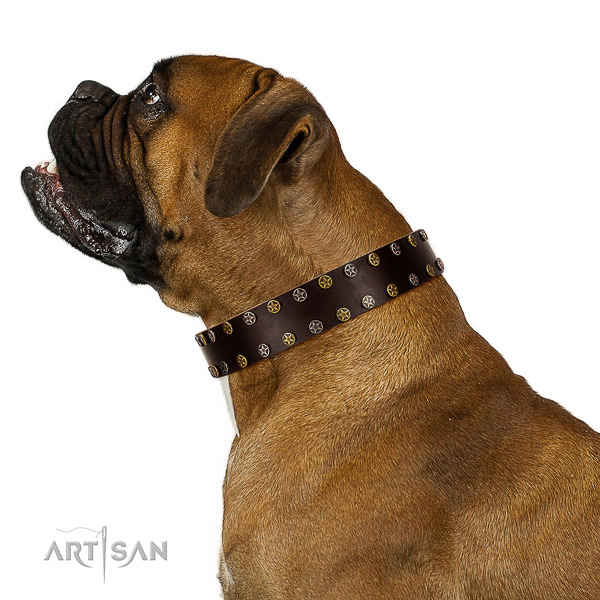 Comfortable wearing full grain genuine leather dog collar with embellishments