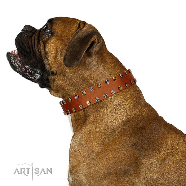 Daily use flexible genuine leather dog collar with embellishments