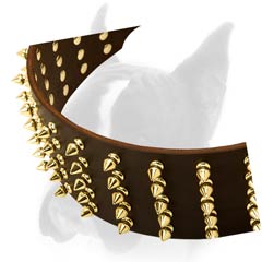 Great Collar with Brass Hardware