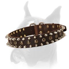 Good Quality Collar for Boxer