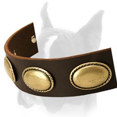 Boxer breed Leather Collar for training