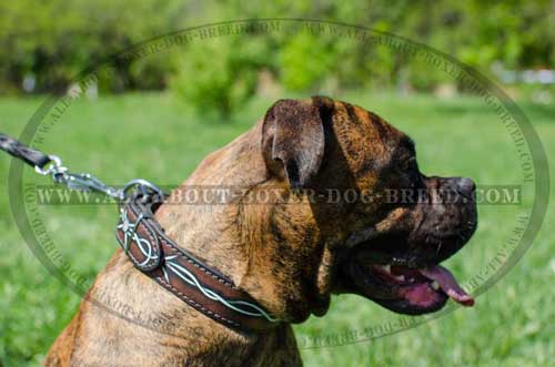 Boxer Leather Collar With Fashionable Painting