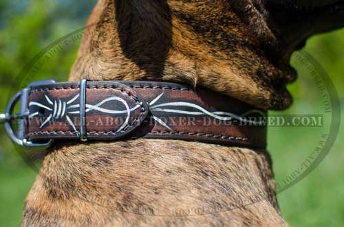Boxer Leather Collar For Stylish Dog