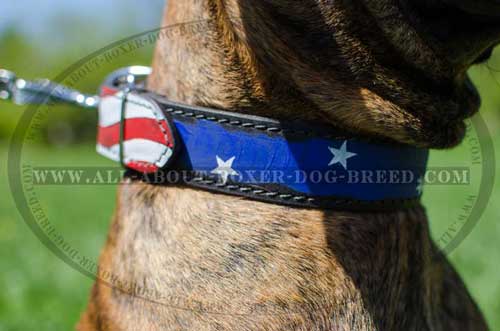 Boxer Leather Collar For Courageous Dog