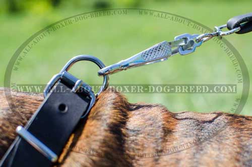 Boxer Leather Collar For Multifunctional Usage