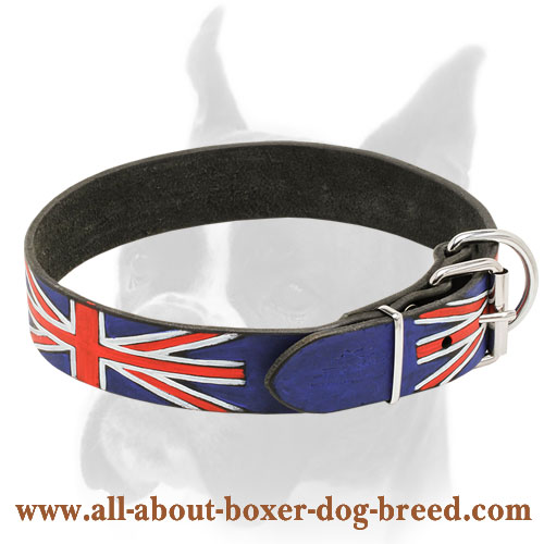 Fashion Leather Boxer Collar for Walking