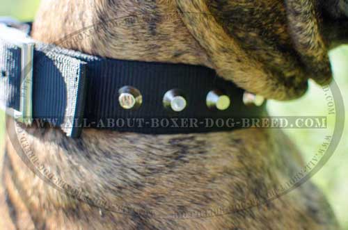 Boxer Nylon Collar Adjustable
