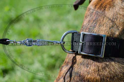 Boxer Nylon Collar Two-Ply With Unique Decoration