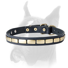 Skillfully decorated Boxer collar