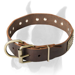 Super strong collar with rust proof hardware for Boxer
