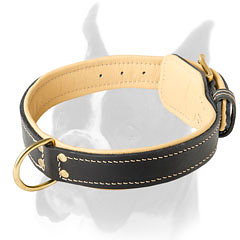 Perfect leather collar with brass buckle