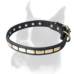 Comfortable leather collar for Boxer
