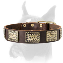 Perfect looking and safe Boxer collar with vintage massive plates