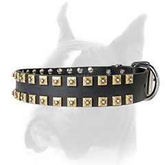 Studded leather collar for Boxer