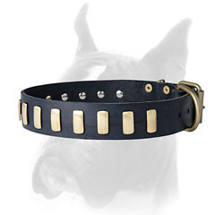 Reliable Boxer collar with stylish plates