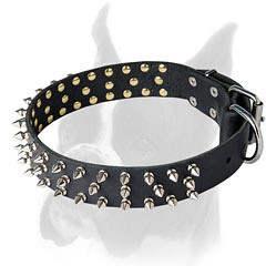Adjustable leather collar for Boxer