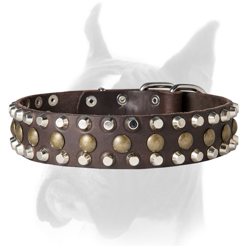 Strong Boxer collar with securely riveted fittings