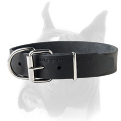 Classic Design Leather Collar with Nickel Hardware