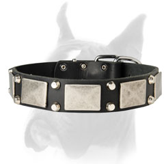 Warlike Style Collar with Plates and Studs
