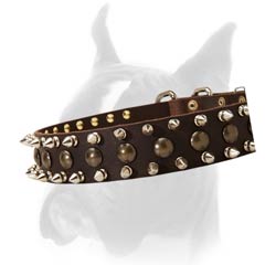 Collar with shiny Spikes & Studs