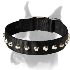 All-weather Dog Collar of two-ply Nylon