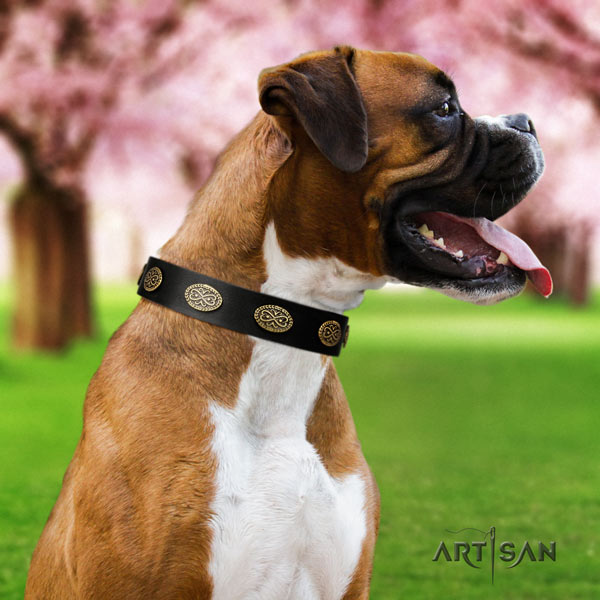 Boxer full grain natural leather collar with corrosion resistant D-ring